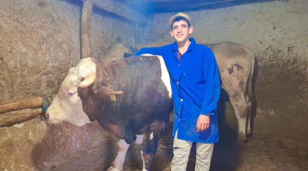 Eskişehir’in dev danaları Guinness Rekorlar Kitabı’na girmeyi bekliyor