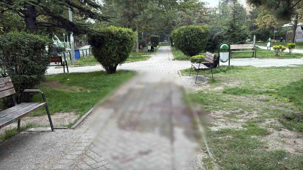 Alkol içerken çıkan tartışma cinayetle bitti