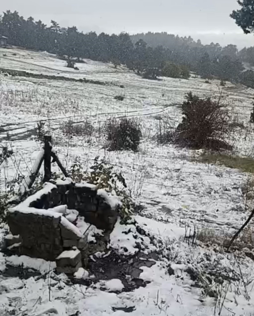 Eskişehir Alpu ilçesinde kar yağışı etkili oldu