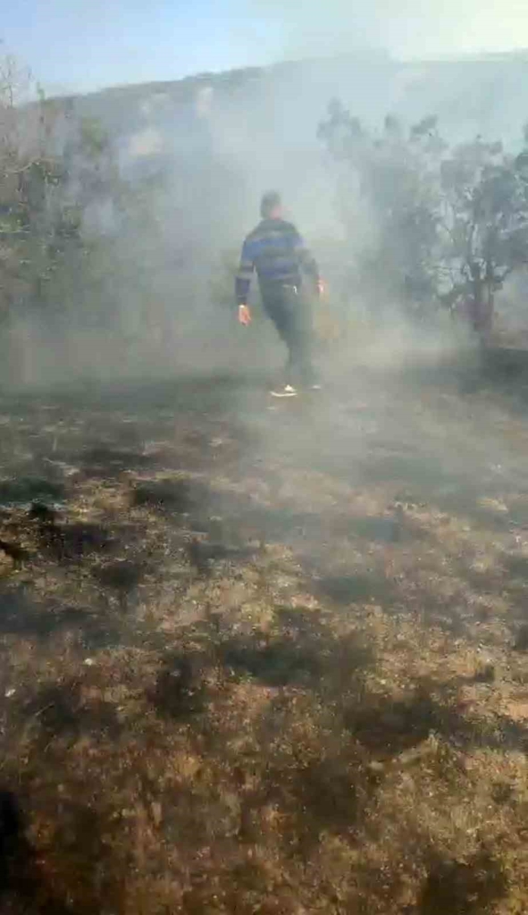 Kütahya’daki orman yangını havadan ve karadan müdahaleyle büyümeden söndürüldü