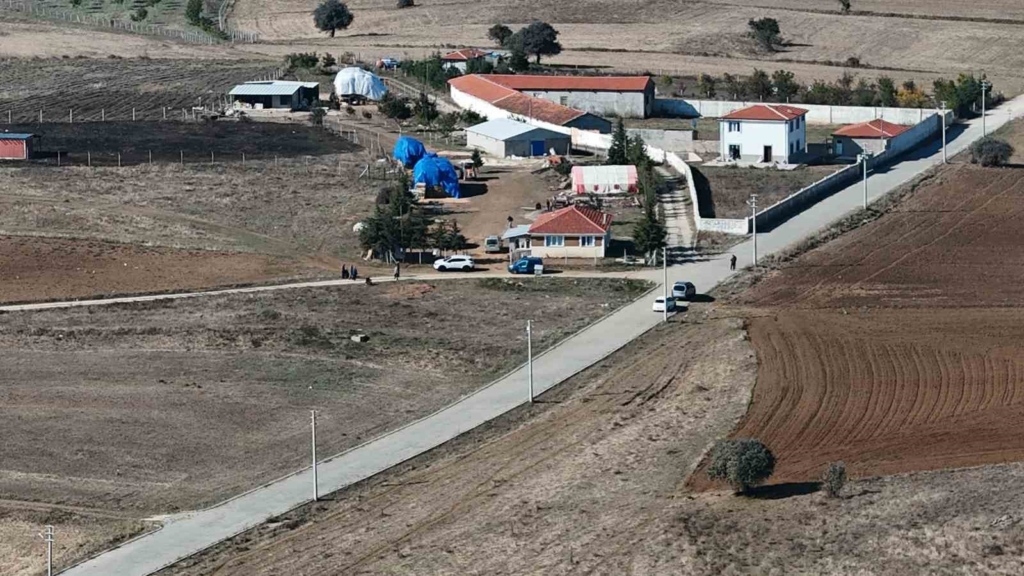 Hayatını adadığı yeğeni katili oldu