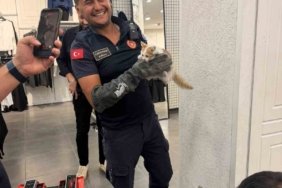 İtfaiye ekipleri duvarda mahsur kalan kedi ile parmaklıklara sıkışan köpeği kurtardı