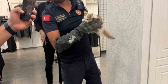 Eskişehir’de itfaiye, duvarda sıkışan kedi ile köpeği kurtardı