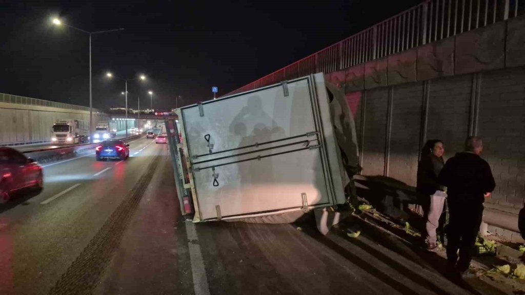 Kontrolden çıkan marul yüklü kamyonet yan yattı