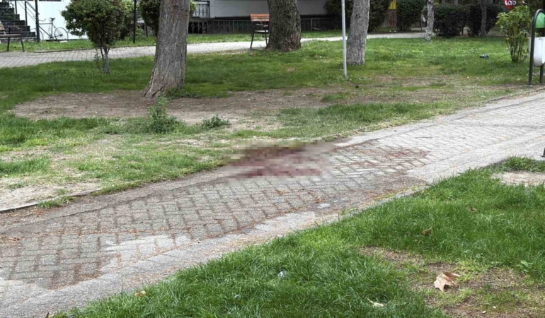 Eskişehir’de arkadaşını bıçaklayan şüpheli gözaltına alındı
