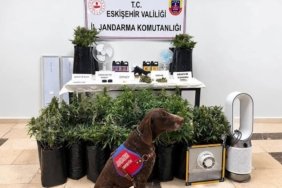 Eskişehir’de 21 poşet kenevir ve çok sayıda uyuşturucu madde jandarma tarafından ele geçirildi