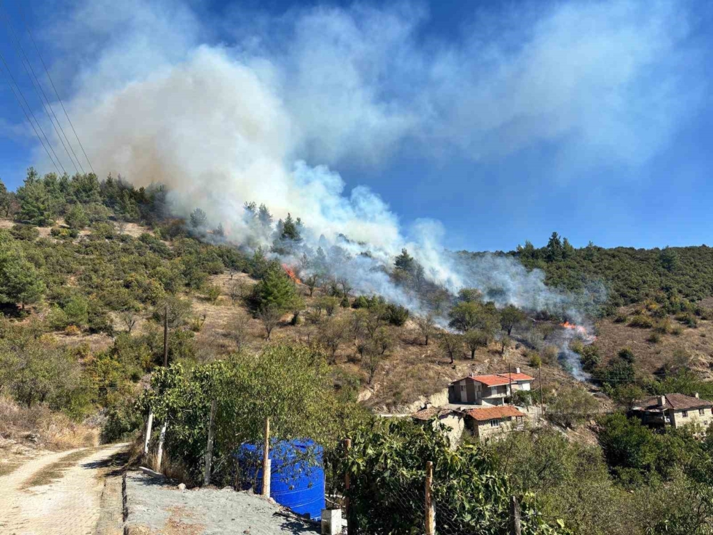 Büyükorhan’da orman yangını: Ekipler bölgeye sevk edildi
