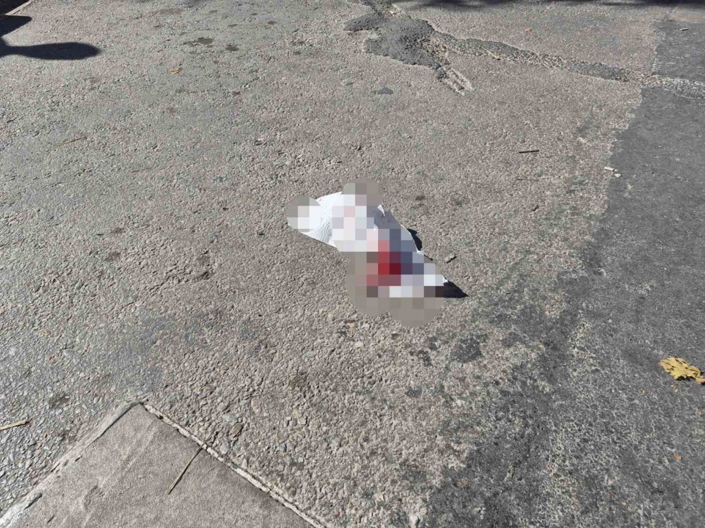 Eskişehir’de baba-oğul arasında bıçaklı kavga: 3 yaralı