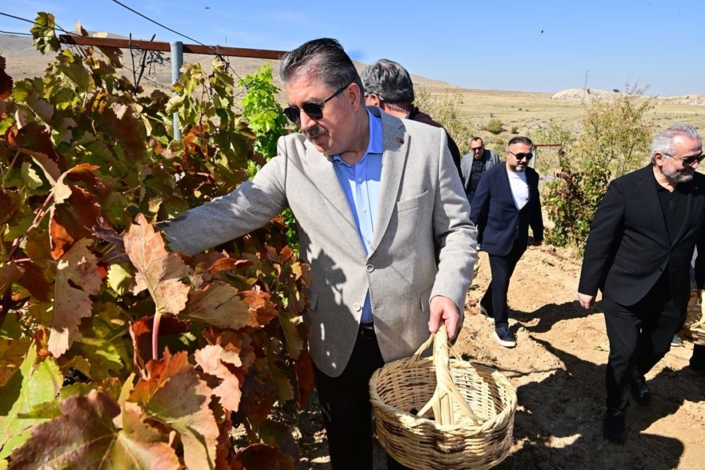 820 yıllık Selçuklu köyünde bağ bozumu heyecanı