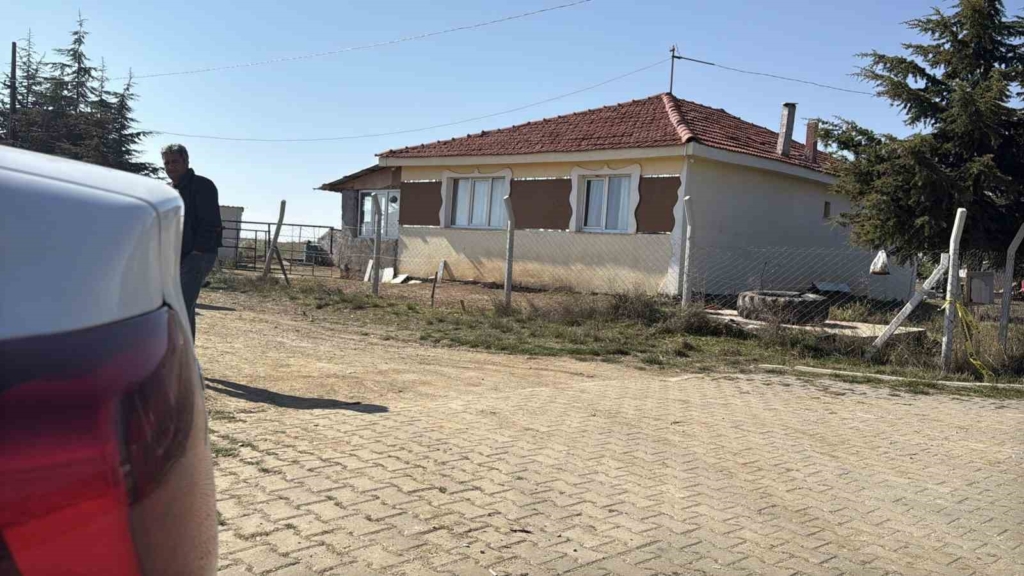 Hayatını adadığı yeğeni katili oldu