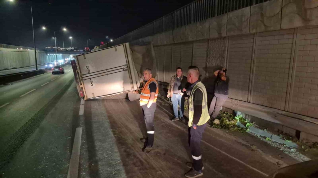Kontrolden çıkan marul yüklü kamyonet yan yattı