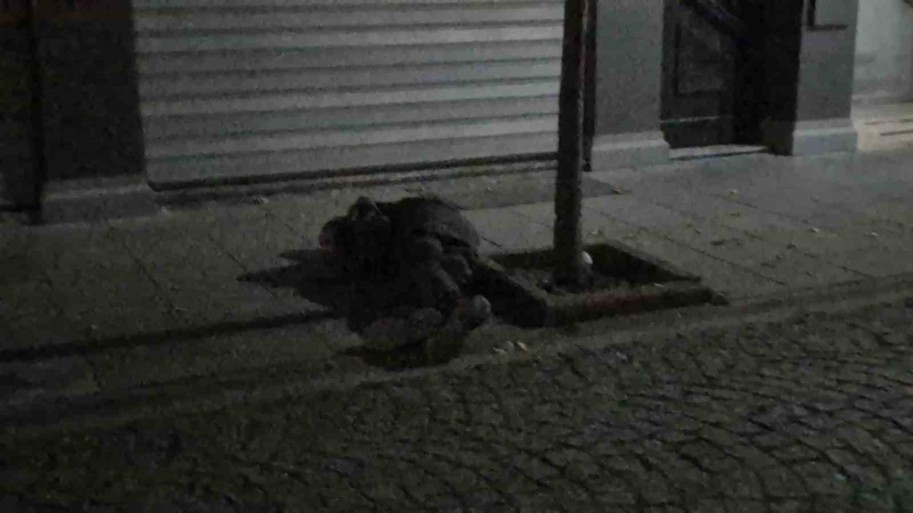 Sokak ortasında iki kez bayılan alkollü şahıs paniğe sebep oldu