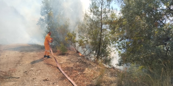 Bursa Keles’te orman yangınına havadan ve karadan müdahale