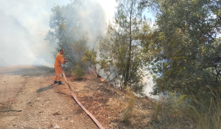 Bursa Keles’te orman yangınına havadan ve karadan müdahale