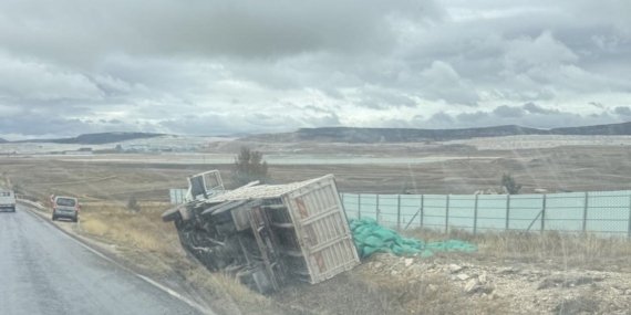 Kontrolden çıkan kamyon şarampole devrildi