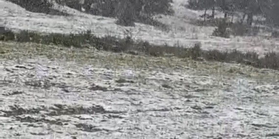 Eskişehir Alpu ilçesinde kar yağışı etkili oldu