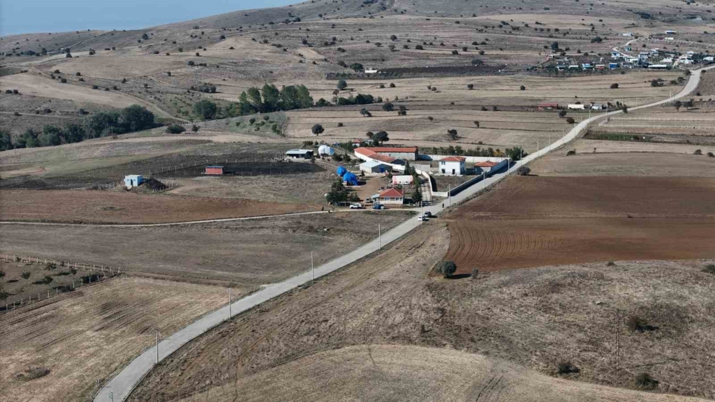 Hayatını adadığı yeğeni katili oldu