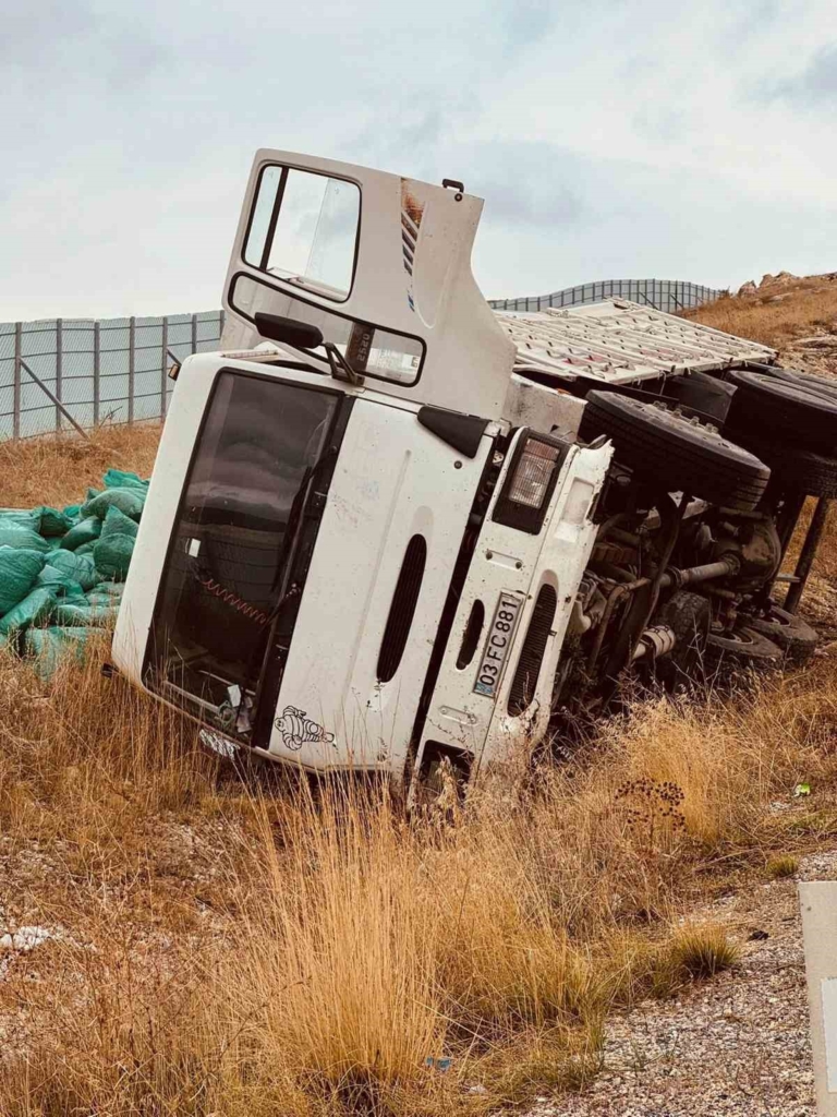 Kontrolden çıkan kamyon şarampole devrildi